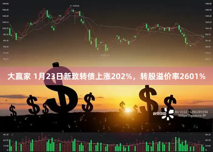 大赢家 1月23日新致转债上涨202%，转股溢价率2601%