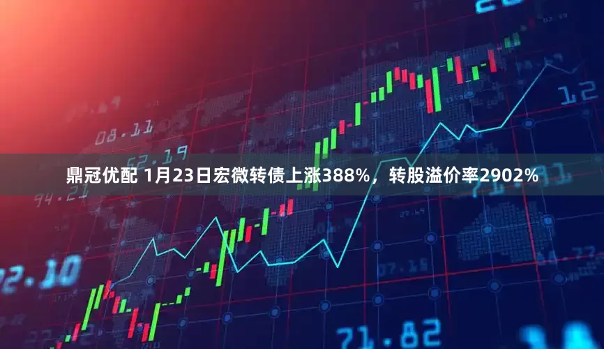 鼎冠优配 1月23日宏微转债上涨388%，转股溢价率2902%