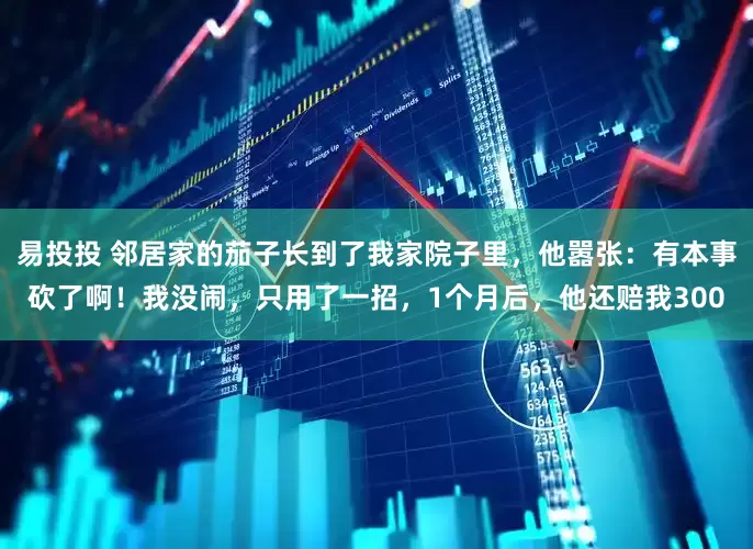 易投投 邻居家的茄子长到了我家院子里，他嚣张：有本事砍了啊！我没闹，只用了一招，1个月后，他还赔我300